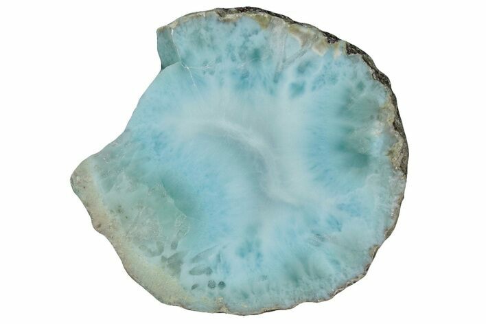 Slice Of Larimar Replaced Wood Limb Cast #316974